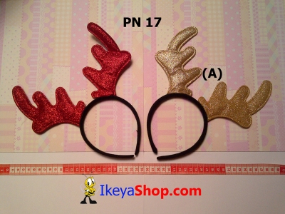 PN 17  large2